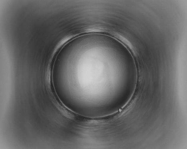 X0000113131179200909110908