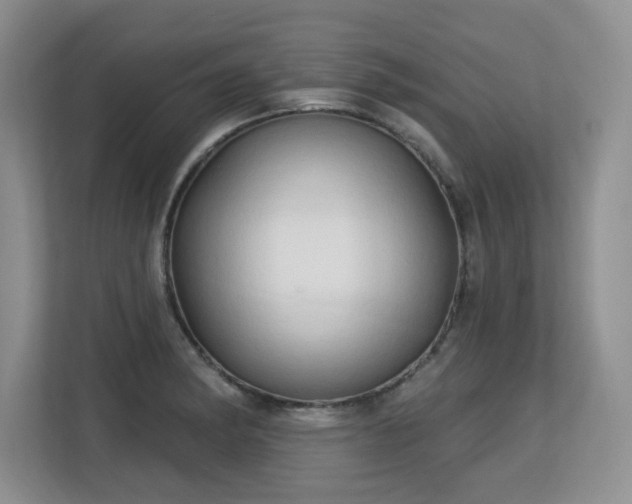 X0000113131182200909110908