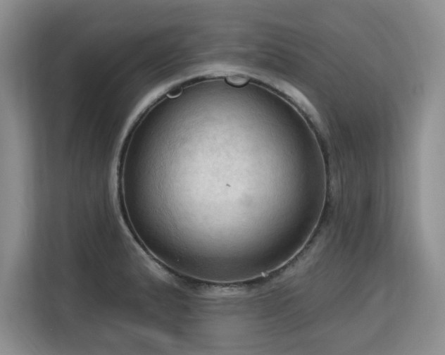 X0000113131183200909110908