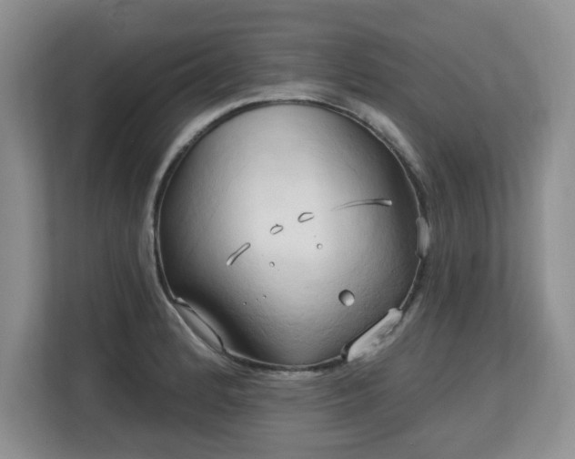 X0000113131184200909110908