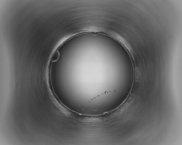 X0000113131187200909110908