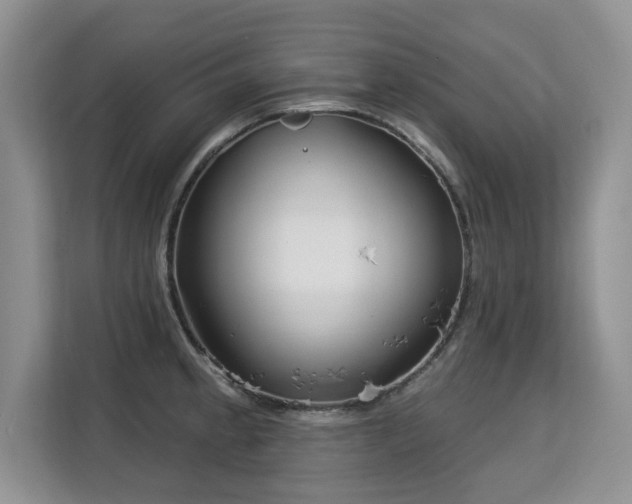 X0000113131189200909110908