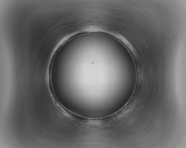 X0000113131191200909110908