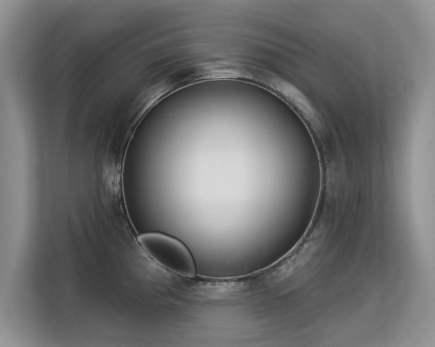 X0000113131193200909110908