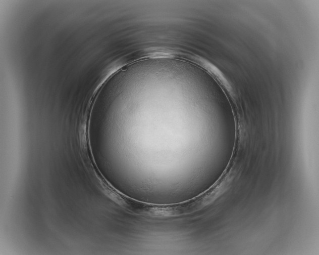 X0000113131194200909110908