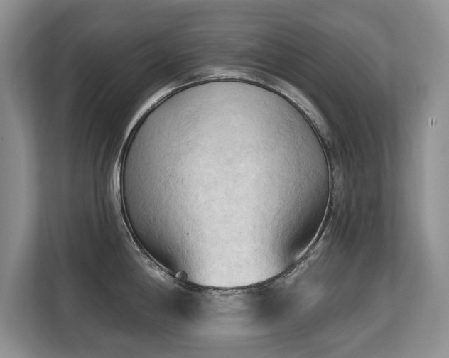 X0000113131198200909110908