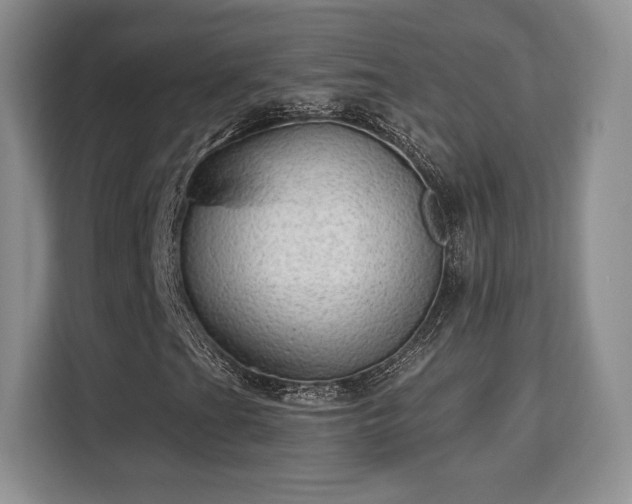 X0000113131201200909110907