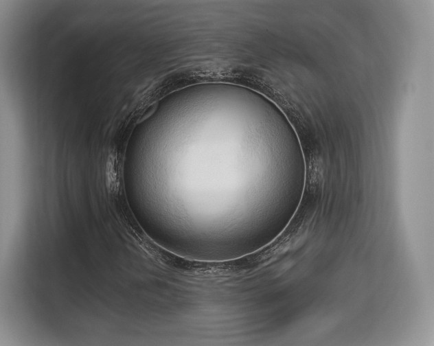 X0000113131202200909110907