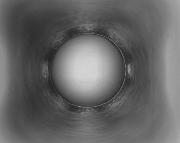 X0000113131203200909110907