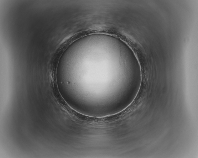 X0000113131206200909110907