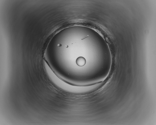 X0000113131209200909110907