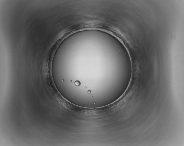 X0000113131211200909110907