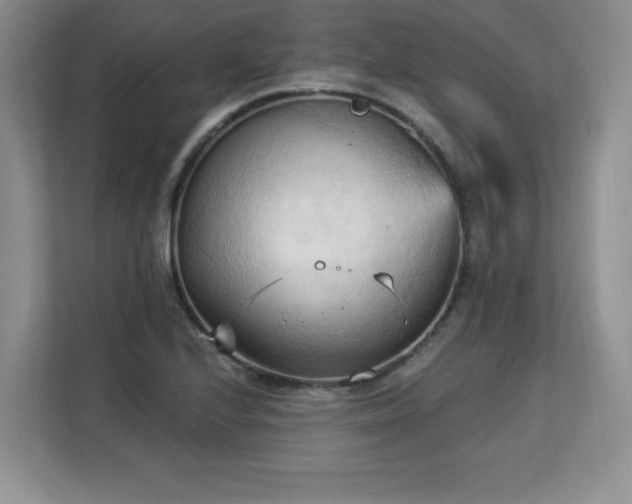 X0000113131224200909110907