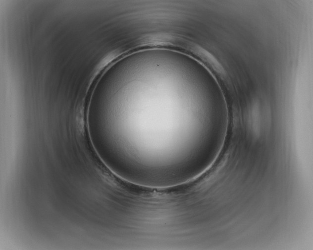 X0000113131226200909110907