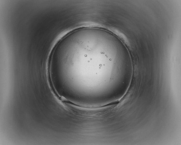 X0000113131231200909110907