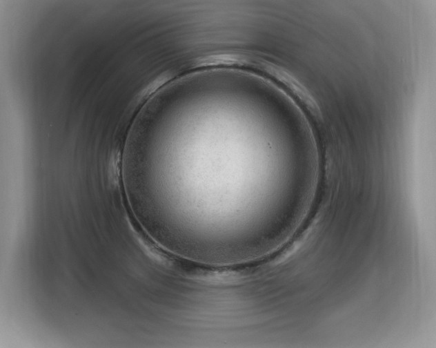 X0000113131233200909110907