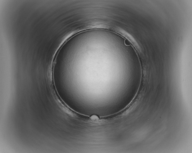 X0000113131236200909110907