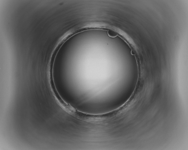 X0000113131237200909110907