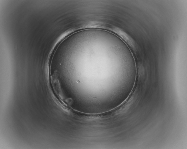 X0000113131238200909110907