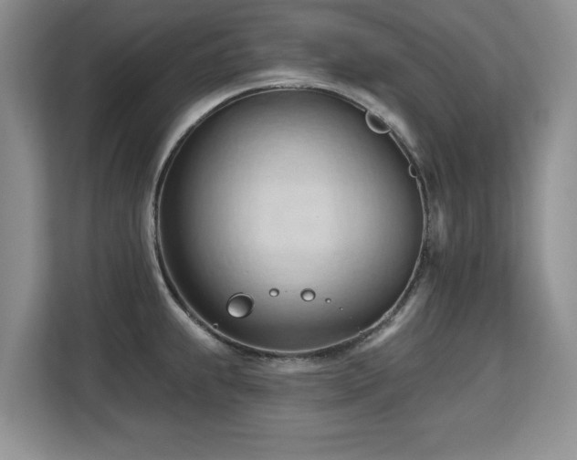 X0000113131239200909110907