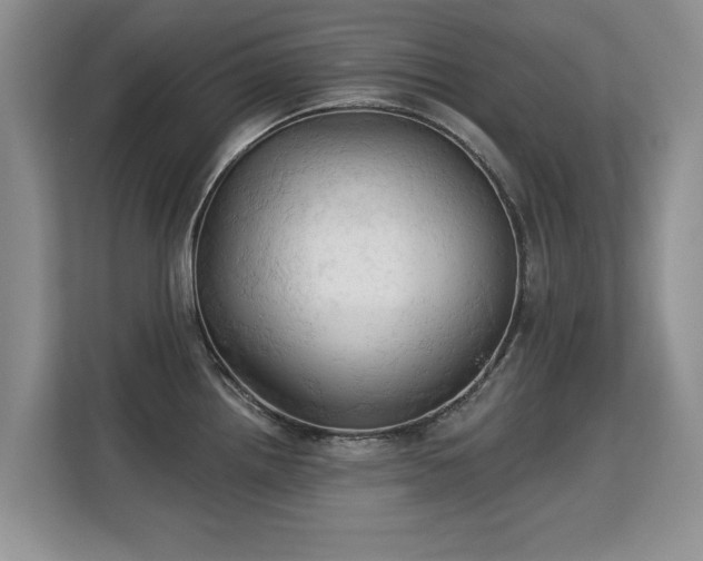 X0000113131242200909110907