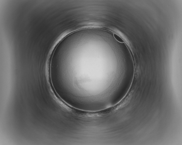 X0000113131243200909110907