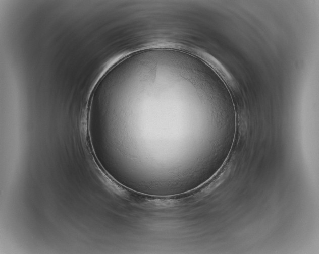 X0000113131244200909110907