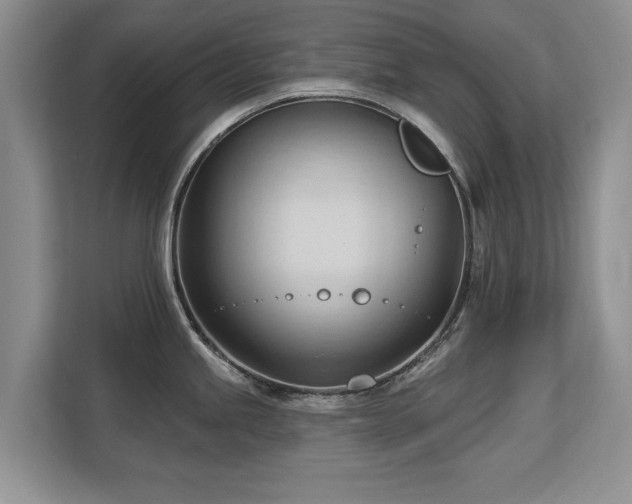 X0000113131245200909110907