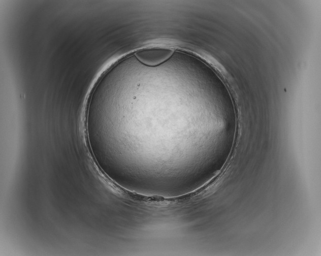 X0000113131248200909110908