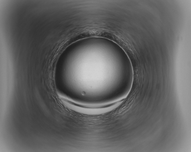 X0000113131249200909110907