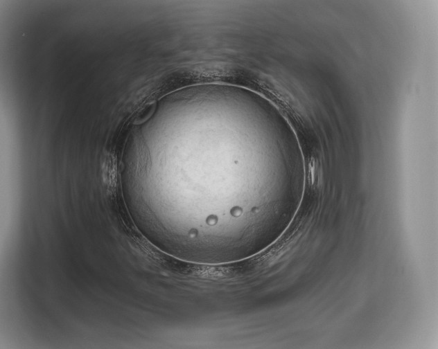 X0000113131251200909110907