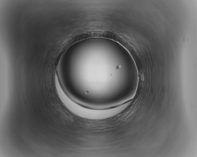 X0000113131252200909110907