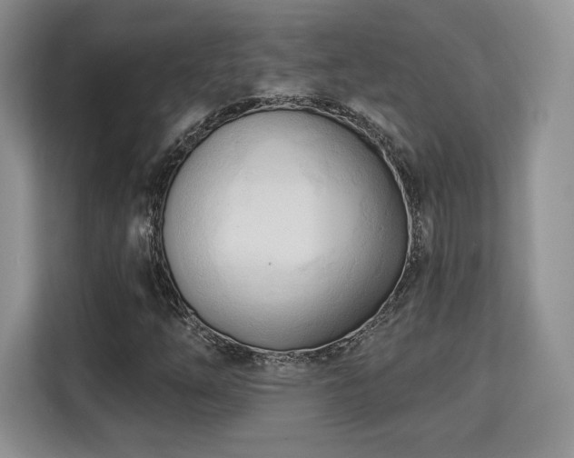 X0000113131254200909110907