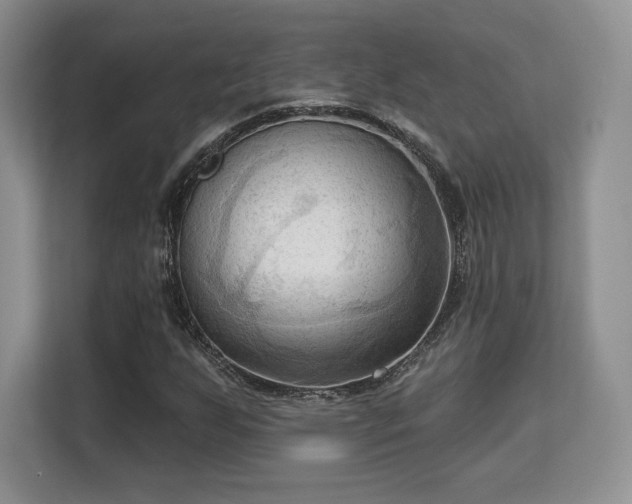 X0000113131255200909110907