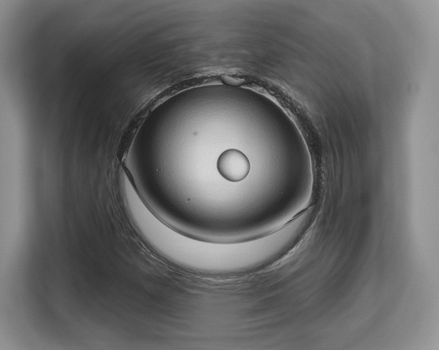 X0000113131257200909110907