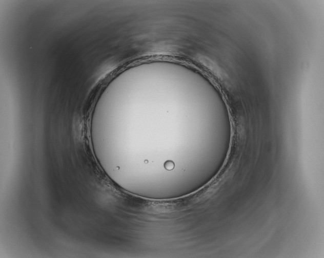 X0000113131258200909110907