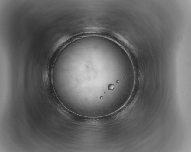 X0000113131259200909110907