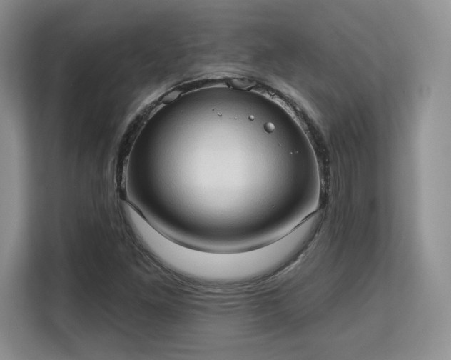 X0000113131261200909110907