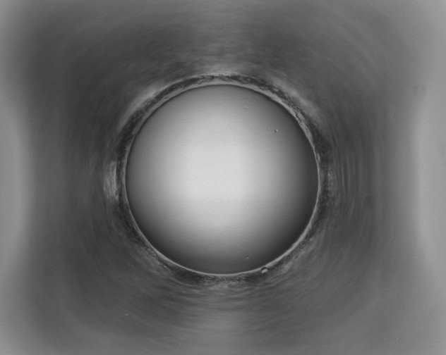 X0000113131262200909110907