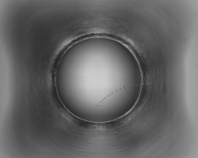 X0000113131263200909110907