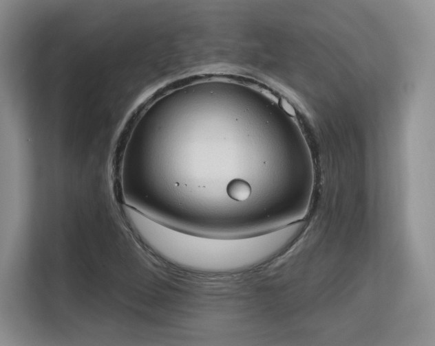 X0000113131264200909110907