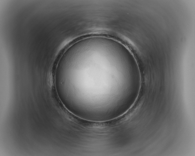 X0000113131267200909110907