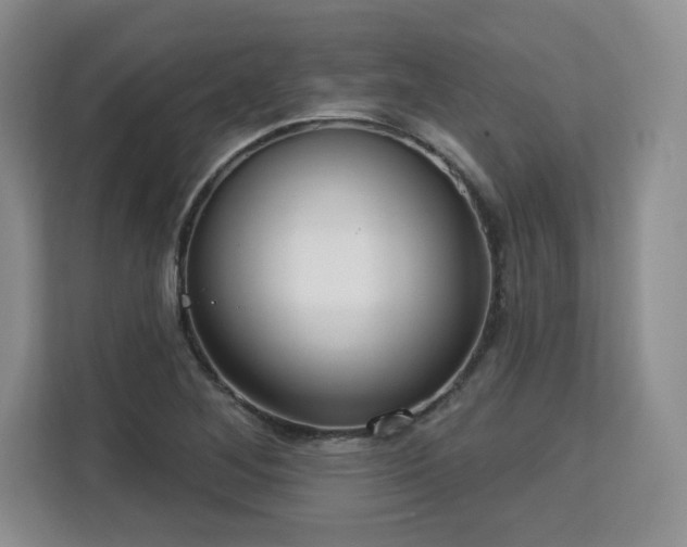 X0000113131268200909110907