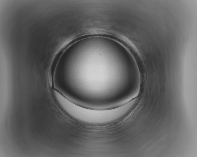 X0000113131269200909110907