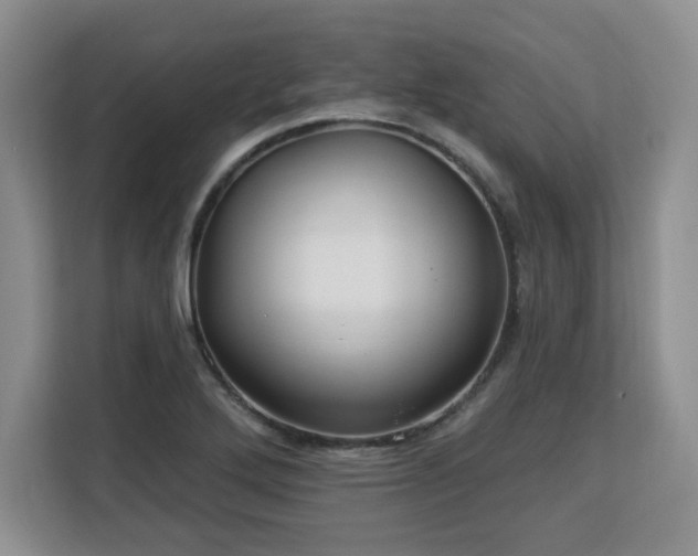 X0000113131272200909110907