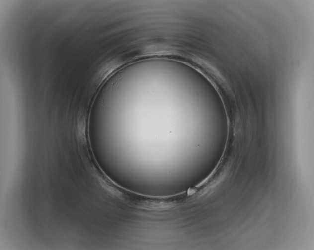 X0000113131273200909110907