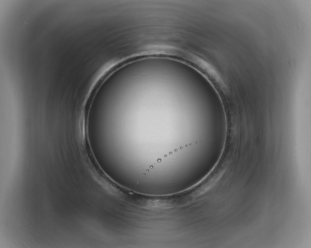 X0000113131275200909110907