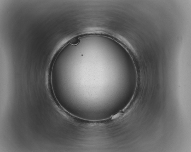 X0000113131277200909110907