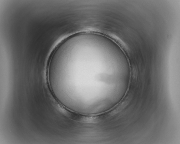 X0000113131278200909110907