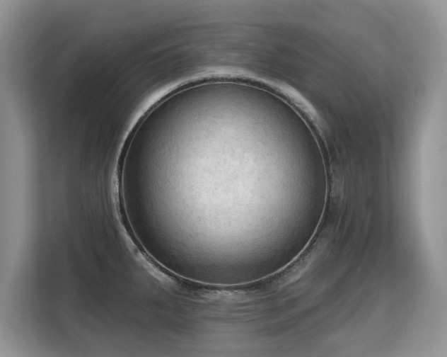 X0000113131287200909110906